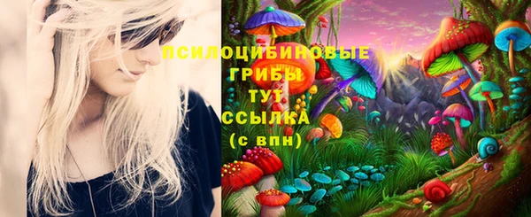 MDMA Premium VHQ Богородск