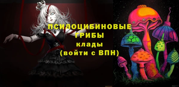 амфетамин Богородицк